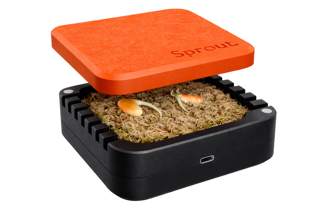 Sprout Silicone Germination Chamber